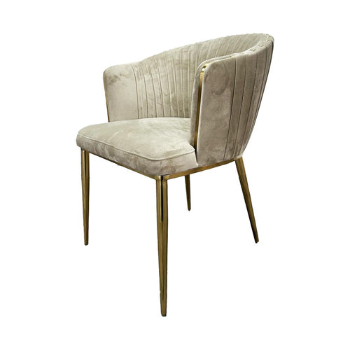 Beige Velvet Gold Studs Dining Chair - C441 Beige Velvet